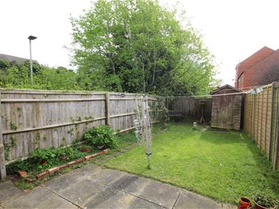 Picture 11